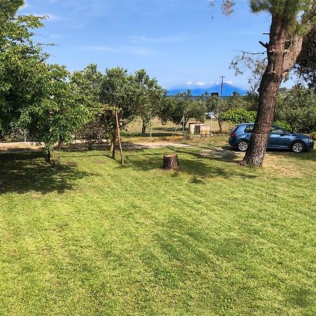Athos View Villa By The Sea Ormos Panagias Bagian luar foto
